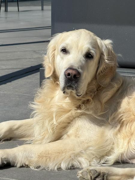 Malko Agence Estaimpuis